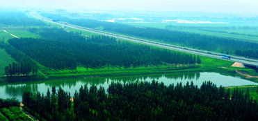 静海发挥林地资源优势,筑牢京津绿色生态屏障